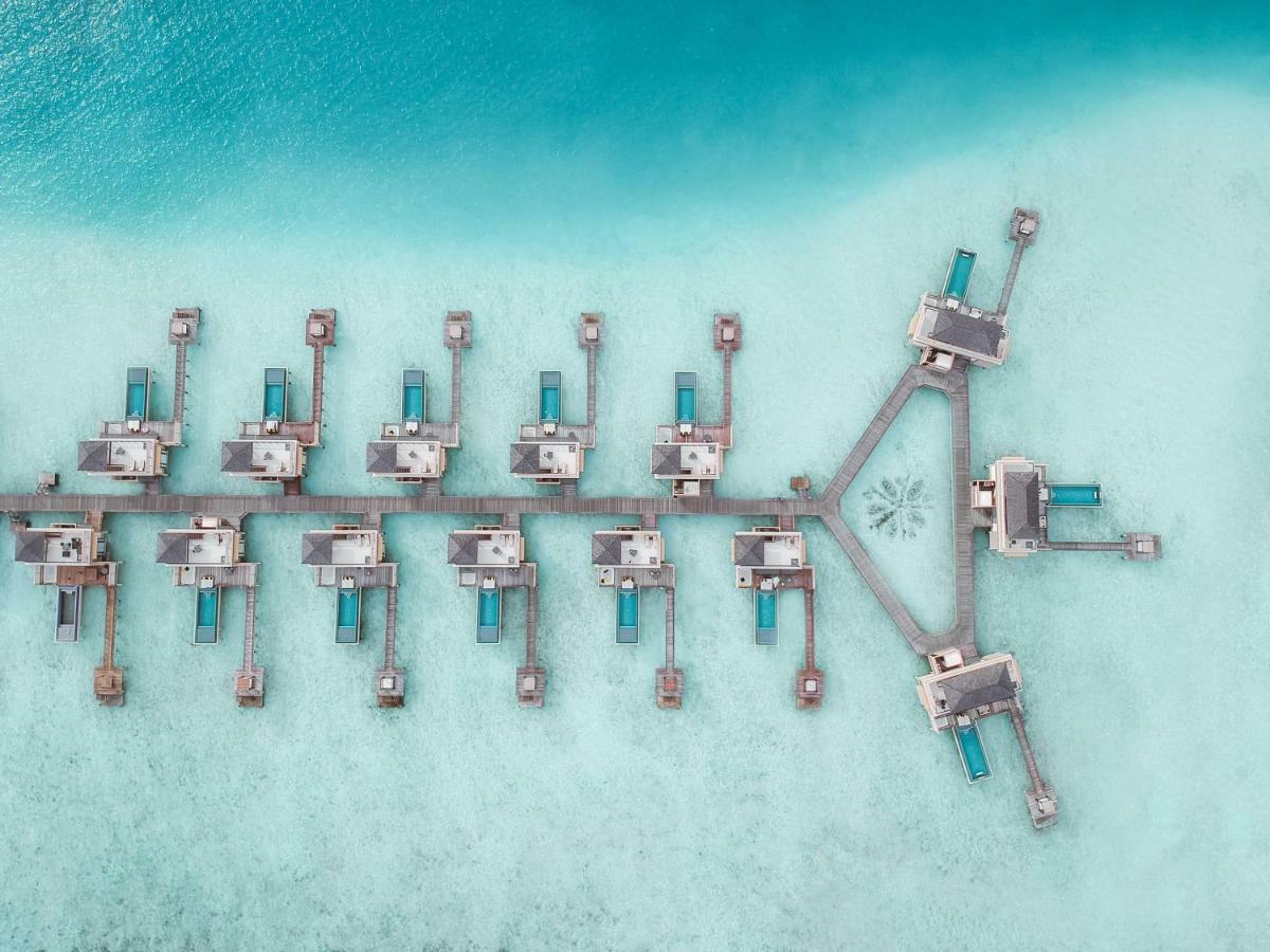 Angsana Velavaru In-ocean - Select, Book Now & Enjoy 20 Percent Off Seaplane Transfer For In 2025 Resort