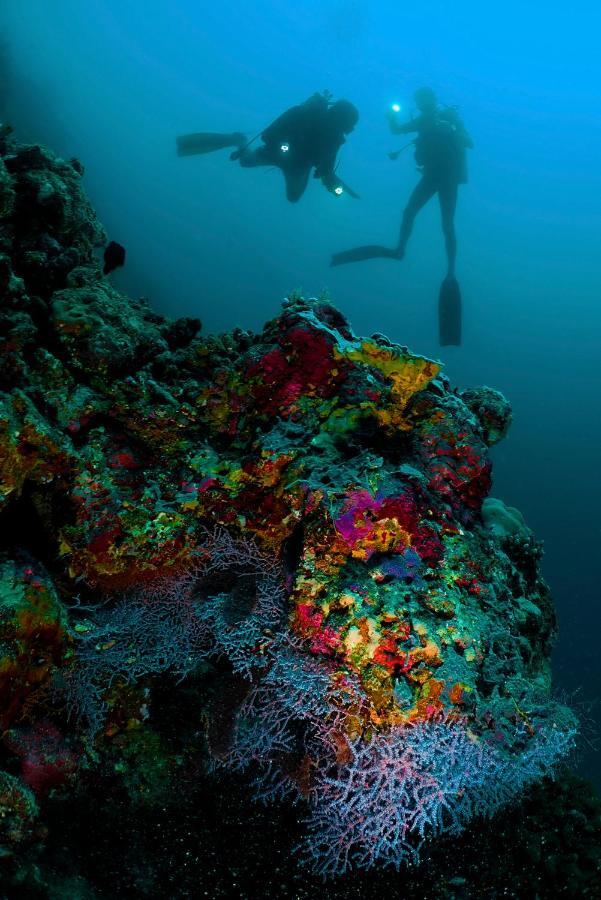 Angsana Velavaru In-ocean - Select, Book Now & Enjoy 20 Percent Off Seaplane Transfer For In 2025 Курортный комплекс 5*